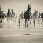 grayscale photo of group of horse with carriage running on body of water