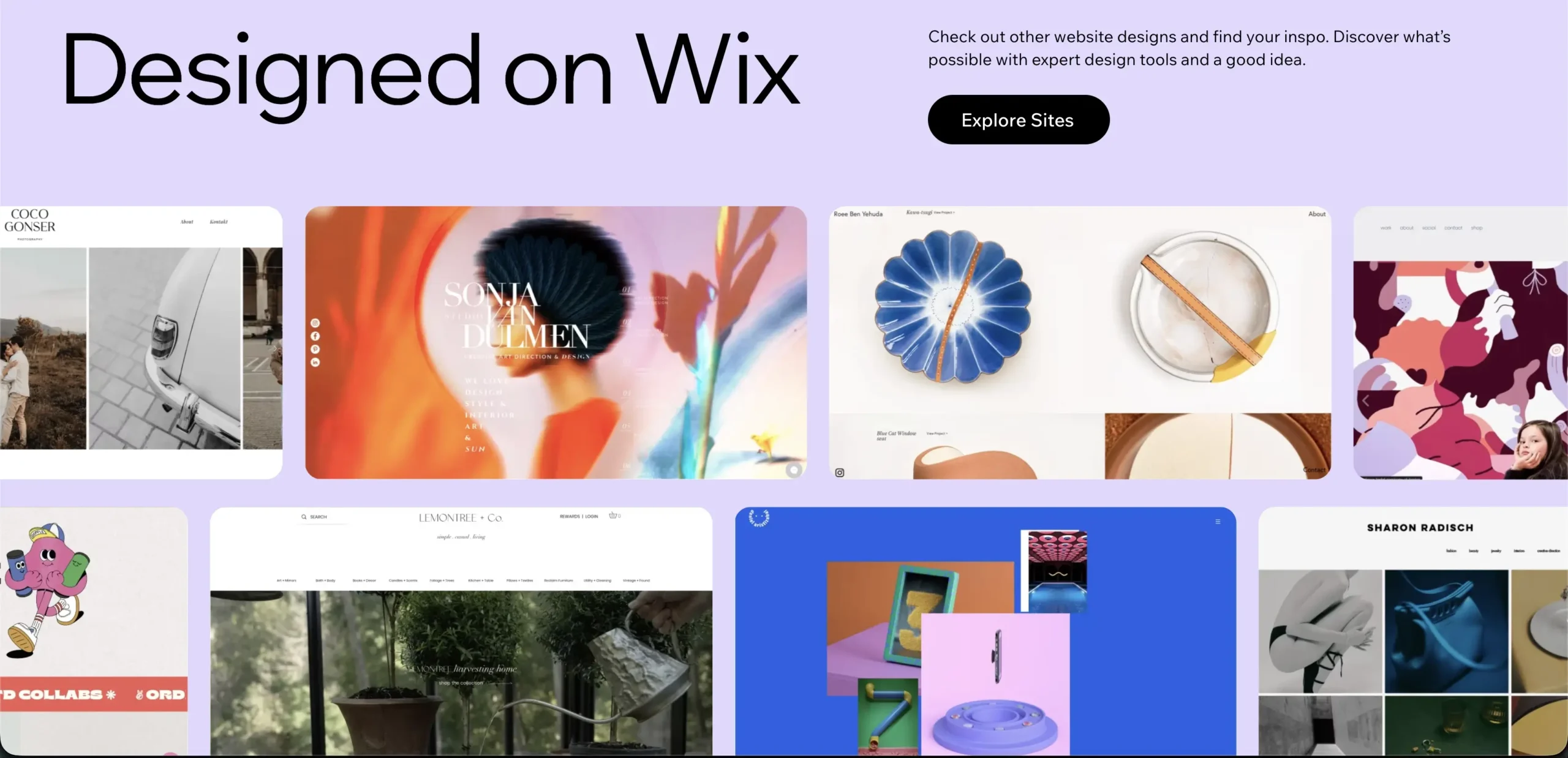 How to Give Access in Wix